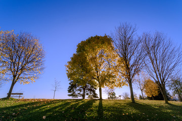 View of Scarborough Park at the end of fall season