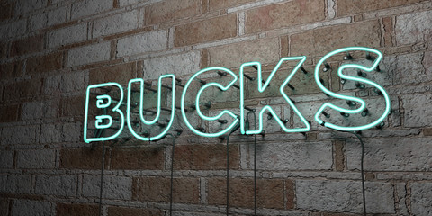 Fototapeta na wymiar BUCKS - Glowing Neon Sign on stonework wall - 3D rendered royalty free stock illustration. Can be used for online banner ads and direct mailers..