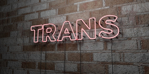 TRANS - Glowing Neon Sign on stonework wall - 3D rendered royalty free stock illustration.  Can be used for online banner ads and direct mailers..