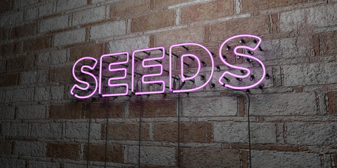 SEEDS - Glowing Neon Sign on stonework wall - 3D rendered royalty free stock illustration.  Can be used for online banner ads and direct mailers..