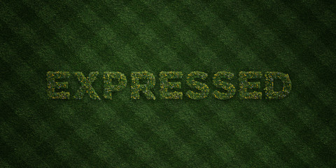 EXPRESSED - fresh Grass letters with flowers and dandelions - 3D rendered royalty free stock image. Can be used for online banner ads and direct mailers..
