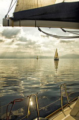 Sun Rays/Race in the calm during the regatta  in the  mediterranean