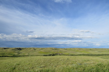 Photography: A landscape of the Canadian Prairies during a cloudy day. Saskatchewan, Canada.