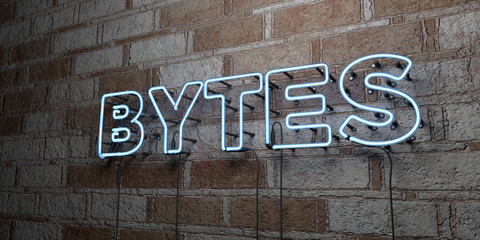 BYTES - Glowing Neon Sign on stonework wall - 3D rendered royalty free stock illustration.  Can be used for online banner ads and direct mailers..