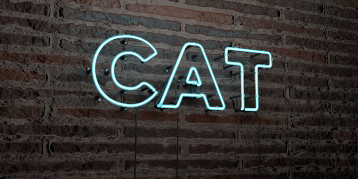 CAT -Realistic Neon Sign on Brick Wall background - 3D rendered royalty free stock image. Can be used for online banner ads and direct mailers..