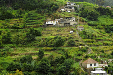 Fototapeta na wymiar Maisons en terrasses à Machico (9200) dans la végétation luxuriante de l'île de Madère, au Portugal en Europe