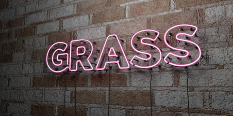 GRASS - Glowing Neon Sign on stonework wall - 3D rendered royalty free stock illustration.  Can be used for online banner ads and direct mailers..