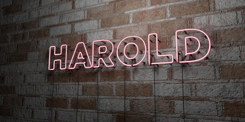 HAROLD - Glowing Neon Sign on stonework wall - 3D rendered royalty free stock illustration.  Can be used for online banner ads and direct mailers..