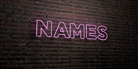 NAMES -Realistic Neon Sign on Brick Wall background - 3D rendered royalty free stock image. Can be used for online banner ads and direct mailers..