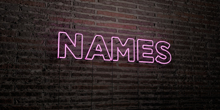 NAMES -Realistic Neon Sign on Brick Wall background - 3D rendered royalty free stock image. Can be used for online banner ads and direct mailers..