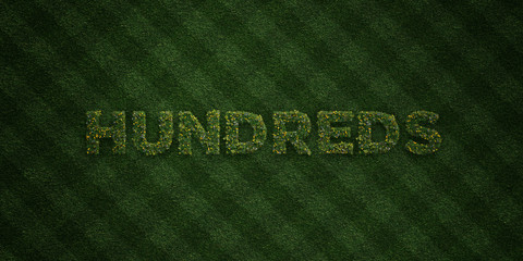 HUNDREDS - fresh Grass letters with flowers and dandelions - 3D rendered royalty free stock image. Can be used for online banner ads and direct mailers..