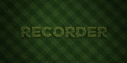 RECORDER - fresh Grass letters with flowers and dandelions - 3D rendered royalty free stock image. Can be used for online banner ads and direct mailers..