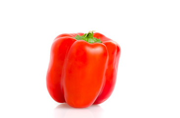 Red pepper isolated on white background - Capiscum annuum