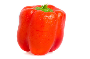 Fresh red pepper with water drops isolated on white background -