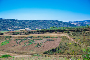 Fototapeta na wymiar Picturesque landscape of Spain