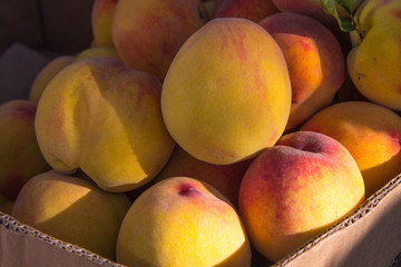 Fresh peaches on a market in Georgia.