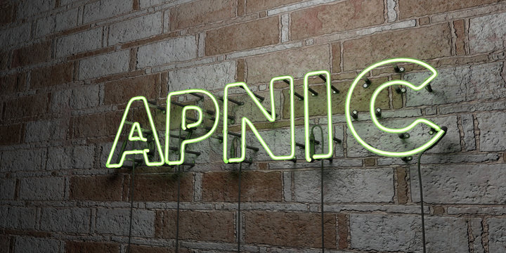 APNIC - Glowing Neon Sign on stonework wall - 3D rendered royalty free stock illustration.  Can be used for online banner ads and direct mailers..