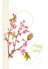 Card template with spring blossom (cherry, plum, almonds), branch with pink flowers, leaves, buds, hand draw sketch on white background, vector illustration, Valentine