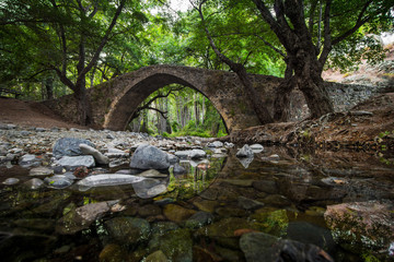 Ancient Venetian bridge