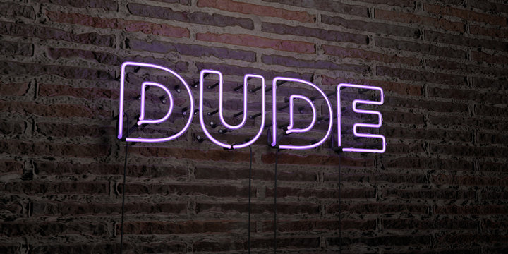 DUDE -Realistic Neon Sign on Brick Wall background - 3D rendered royalty free stock image. Can be used for online banner ads and direct mailers..