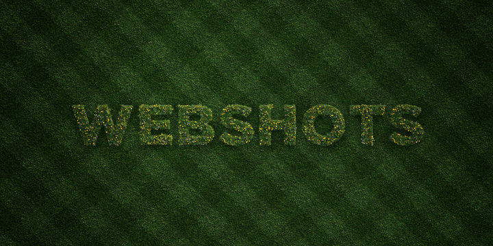 WEBSHOTS - fresh Grass letters with flowers and dandelions - 3D rendered royalty free stock image. Can be used for online banner ads and direct mailers..