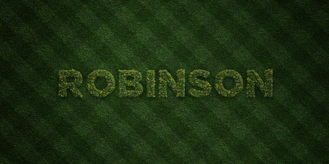 ROBINSON - fresh Grass letters with flowers and dandelions - 3D rendered royalty free stock image. Can be used for online banner ads and direct mailers.. - obrazy, fototapety, plakaty