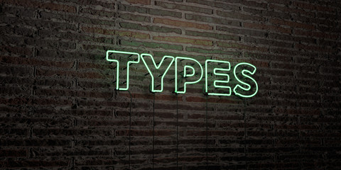 TYPES -Realistic Neon Sign on Brick Wall background - 3D rendered royalty free stock image. Can be used for online banner ads and direct mailers..