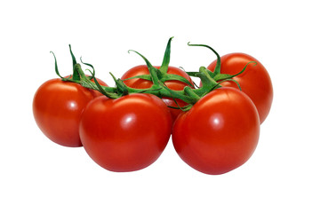 tomatoes branch on a white background