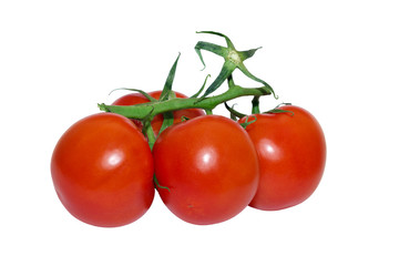 tomatoes branch on a white background