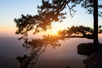 Sunset in the evening