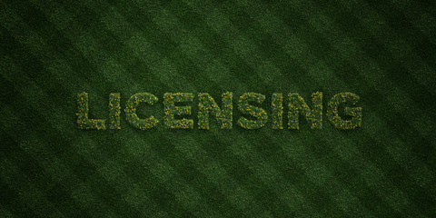 LICENSING - fresh Grass letters with flowers and dandelions - 3D rendered royalty free stock image. Can be used for online banner ads and direct mailers..