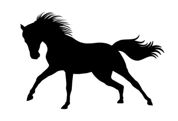 Fototapeta na wymiar Black silhouette of horse with swinging mane and tail
