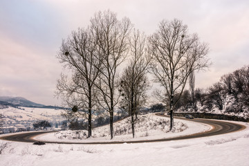 Obraz premium mountain curve road near the forest