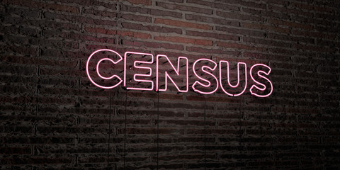 CENSUS -Realistic Neon Sign on Brick Wall background - 3D rendered royalty free stock image. Can be used for online banner ads and direct mailers..