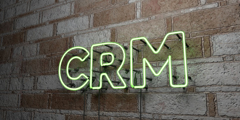 CRM - Glowing Neon Sign on stonework wall - 3D rendered royalty free stock illustration.  Can be used for online banner ads and direct mailers..
