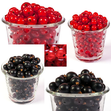 image set of red and black currant in a glass