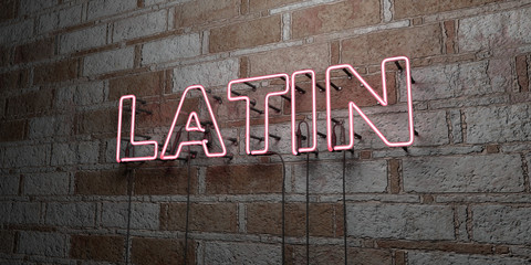 LATIN - Glowing Neon Sign on stonework wall - 3D rendered royalty free stock illustration.  Can be used for online banner ads and direct mailers..