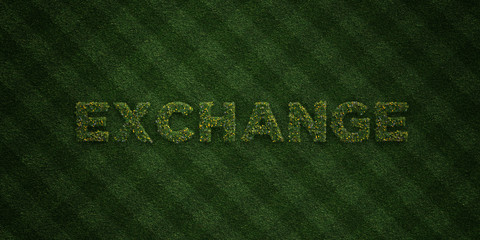 EXCHANGE - fresh Grass letters with flowers and dandelions - 3D rendered royalty free stock image. Can be used for online banner ads and direct mailers..