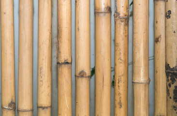 bamboo fence background
