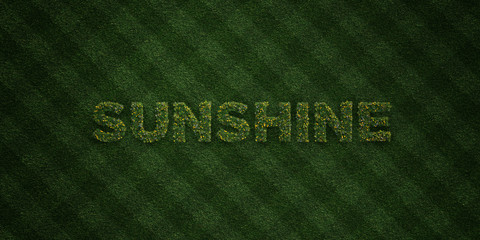 SUNSHINE - fresh Grass letters with flowers and dandelions - 3D rendered royalty free stock image. Can be used for online banner ads and direct mailers..