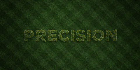 PRECISION - fresh Grass letters with flowers and dandelions - 3D rendered royalty free stock image. Can be used for online banner ads and direct mailers..