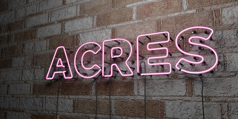 ACRES - Glowing Neon Sign on stonework wall - 3D rendered royalty free stock illustration.  Can be used for online banner ads and direct mailers..