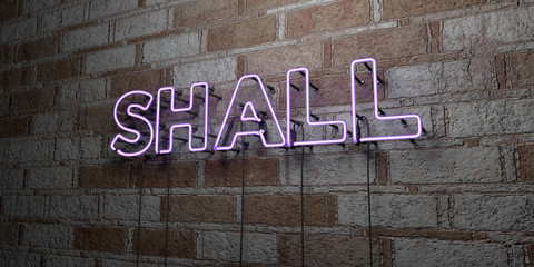 SHALL - Glowing Neon Sign on stonework wall - 3D rendered royalty free stock illustration.  Can be used for online banner ads and direct mailers..
