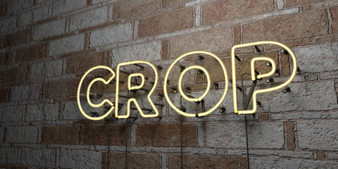 CROP - Glowing Neon Sign on stonework wall - 3D rendered royalty free stock illustration.  Can be used for online banner ads and direct mailers..