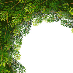 Christmas wreath frame from fir tree branches. Vector illustration for your design