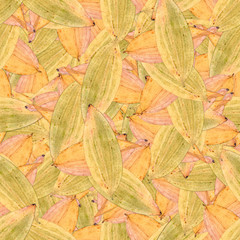 seamless background pattern texture made of  leaves