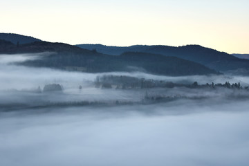 Fototapeta na wymiar landscape in the fog (Lorraine-France)