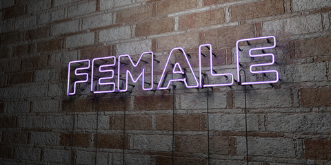 FEMALE - Glowing Neon Sign on stonework wall - 3D rendered royalty free stock illustration.  Can be used for online banner ads and direct mailers..