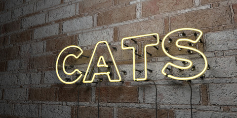 CATS - Glowing Neon Sign on stonework wall - 3D rendered royalty free stock illustration.  Can be used for online banner ads and direct mailers..