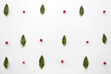 Colorful pattern made of red currants and leaves